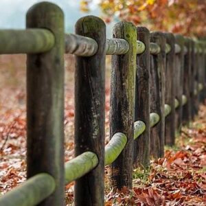 Read more about the article Quam placeat illum eos aut quae ipsum.